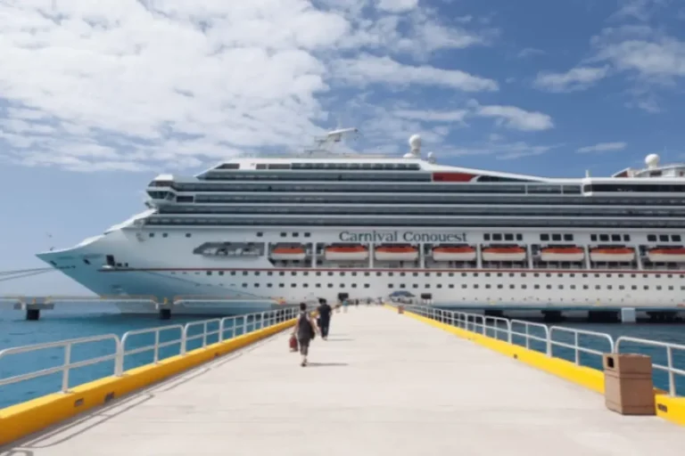 Cruise ship docked beside a passenger pier